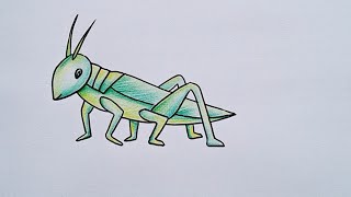 How to draw a grasshopper  Easy grasshopper drawing [upl. by Ecirtaemed52]