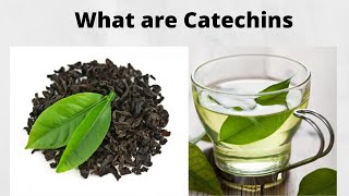 What are Catechins [upl. by Womack678]