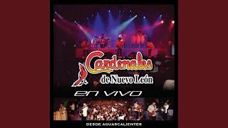 Espejo De Cantina En Vivo [upl. by Justinian]