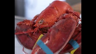 Andrew Zimmern Cooks Shelling a Lobster [upl. by Pru]