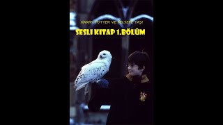 Harry Potter ve Felsefe Taşı  Bölüm 1  En İyi Sesli Kitap [upl. by Hayilaa]