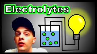 Solubility and Electrolytes [upl. by Tebor]