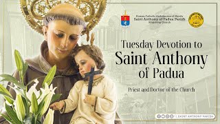 Tuesday Devotion to Saint Anthony of Padua  730 AM Holy Mass  November 19 2024 [upl. by Enamart]