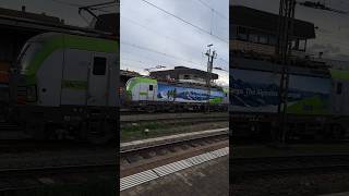 SIEMENS VECTRON der BLS CARGO am rangiern in Basel Bad Bf trainspotting shorts yt [upl. by Acinhoj]