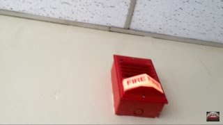 Fire Alarm Test 9 [upl. by Frame]