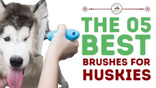 The Best Brushes for Huskies [upl. by Retnyw]