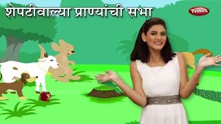 Sheptiwalya Pranyanchi Bharli Hoti Sabha  Marathi Rhymes For Children  शेपटीवाल्या प्राण्यांची सभा [upl. by Oxley]