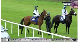 Race 6 1625 Curragh IRE 29 Sep 2024 Friends Of The Curragh Irish Cesarewitch [upl. by Bailie]