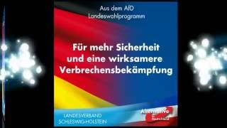 AfD LandeswahlProgramm für SchleswigHolstein [upl. by Yuu]