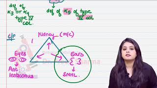 Thin Basement Membrane Diseases Pathology Rapid Revision For FMGE amp NEET PG By Dr Preeti Sharma [upl. by Melise]