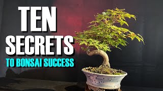 TEN SECRETS to Bonsai Success for Beginners [upl. by Gayler]