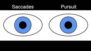 RS Supranuclear Ocular Motor Pathways Part 1  Horizontal Saccades [upl. by Hays944]