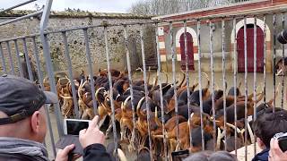 La soupe des chiens  Chateâu de Cheverny  France [upl. by Emerald433]