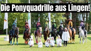 Ponyquadrille 😍  Wow toll sind diese Schulpferde  Galaabend AGRAVISCup Oldenburg [upl. by Einhorn]