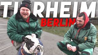 Kalles Ausbildung als Tierpfleger  Kalle in Gefahr [upl. by Oeram]