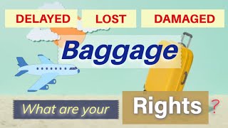 DELAYED LOST OR DAMAGED BAGGAGE  RIGHTS OF AIR PASSENGER [upl. by Nostrebor975]