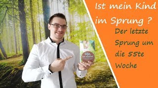 Der 8te Sprung in der 55 Woche Daran erkennst du das dein Kind einen Entwicklungsschub hat [upl. by Tirreg]