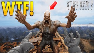 STALKER 2  TOP 100 WTF amp FUNNY Moments 4 [upl. by Anizor]