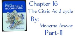 Reaction of the citric acid cycle chapter 16 Part2 in urdu lehninger principles of biochemistry [upl. by Ilona]