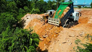 Wonderful Continue Old Project Height Land Level Filling to Bury Tree By 5T Trucks amp Dozer Pushing [upl. by Virgie325]