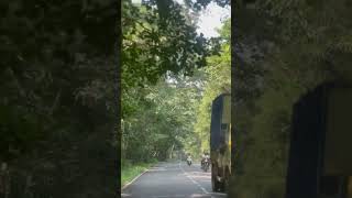 Kasaragod  manjakkal bovikkanam road [upl. by Redlac997]