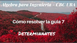 Cómo resolver la guía 7 de Determinantes  Álgebra para Ingeniería  CBC UBA [upl. by Brittni]