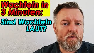 Sind Wachteln laut Wachtelnin3Minuten erklärt von der Wachtelfarm Hettstedt [upl. by Sheeree136]