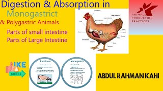 Digestion of nutrients in monogastric and polygastric animals  Animal Nutrition  Animal Husbandry [upl. by Feune]