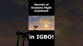 SECRETS of airplane flight explained in Igbo [upl. by Thant354]