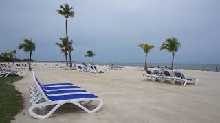 Guy Harvey Islander Resort in Islamorada FL [upl. by Quintin]