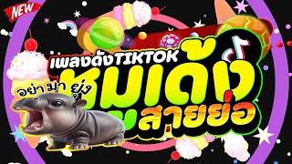 เพลงดังTIKTOK ★มะมะมะ หมูเด้ง  MooDeng★ Verสายย่อ 🔥  DJ PP THAILAND REMIX [upl. by Kealey]