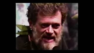 Terence McKenna Discuss Salvia Divinorum 🍃 Hawaii 1994 [upl. by Nivrad]