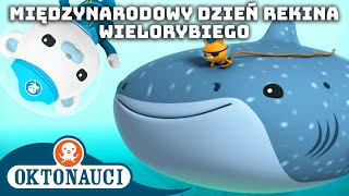 Oktonauci  🐋 Międzynarodowy Dzień Rekina Wielorybiego 🦈  Kompilacja  Całe odcinki [upl. by Thomey185]