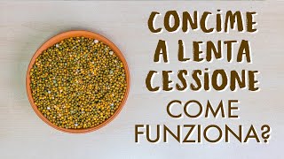 Concimi a lenta cessione a cosa servono e come funzionano [upl. by Gerhard]