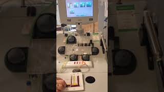 Apheresis part 3 Entering patient and procedure data [upl. by Ocire]