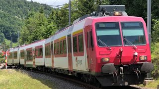 FRDE Trafic ferroviaireBahnverkehr TRAVYS PBr  Pont Brassus  Transports Publics Suisses [upl. by Bamby]