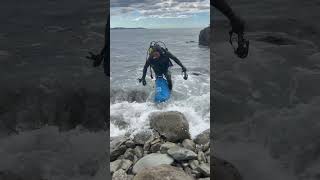 kaikoura newzealand freediving diving butterfish fishing [upl. by Haldan]