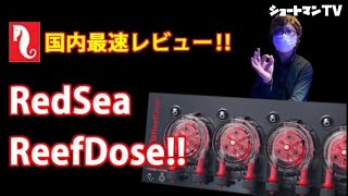 国内最速レビュー‼︎RedSea ReefDoseショートマンTV [upl. by Gerita]