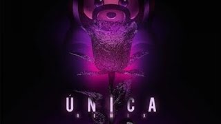 ozuna  unica Full version ft anuel aa Wisin y yandel [upl. by Tamis]