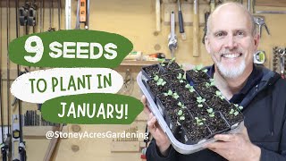 Its Time to Start Your Garden 9 Seeds to Plant Indoors in January [upl. by Eninotna]