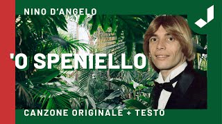 Nino DAngelo  O speniello [upl. by Andie]