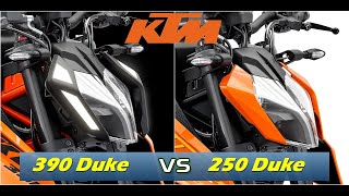 2024 KTM 390 Duke vs 2024 KTM 250 Duke [upl. by Aljan]