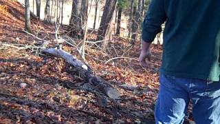 Prepping Tip Stealth Chainsaw  Powered by a 40 volt battery [upl. by Irmgard]