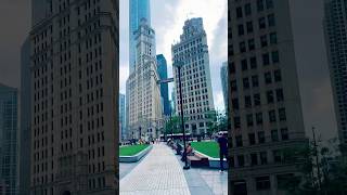 CHICAGO DOWNTOWN USA 🇺🇸 windycity chicagoland illinois usashorts usatravel chicago [upl. by Nagap]