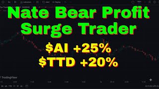 Nate Bear Review Latest trade alerts reviewed [upl. by Anicnarf]