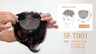 SFT901紹介動画 [upl. by Ahouh]