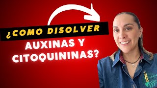 ¿Como disolver auxinas y citoquininas para formular un fertilizante [upl. by Bryn]