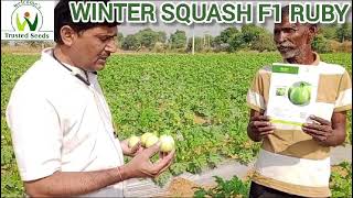 Winter Squash Ruby Jaipur Rajasthan November 2024 [upl. by Cullen69]