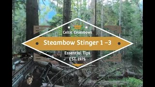 Steambow Stinger 2 pistol crossbow Essential Tips and Tricks [upl. by Lodhia]