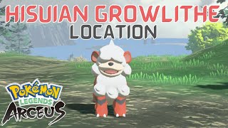 Where to Find Hisuian Growlithe in Pokémon Legends Arceus  Hisuian Growlithe Location [upl. by Kasper]